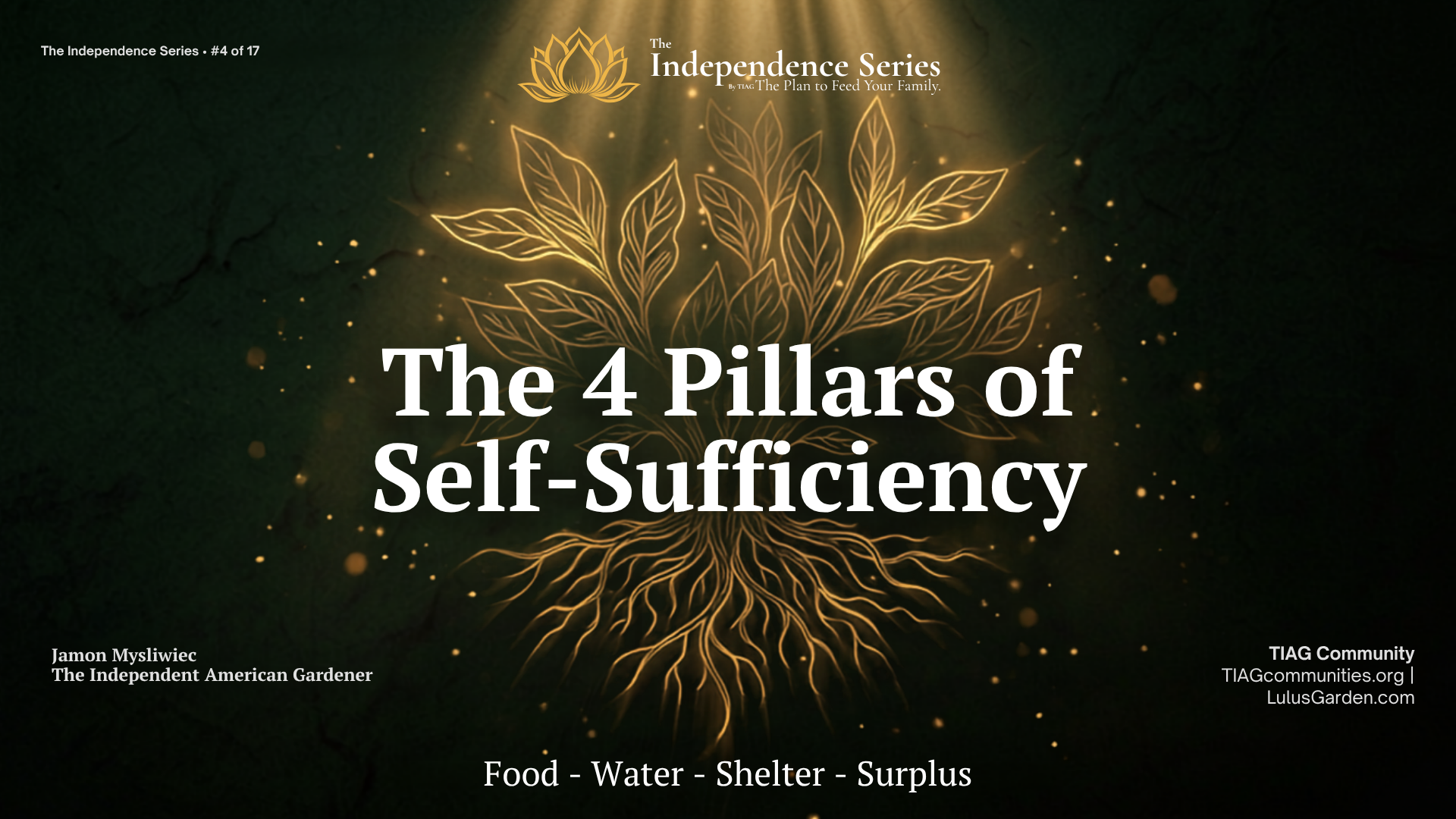 The 4 Pillars of Self-Sufficiency